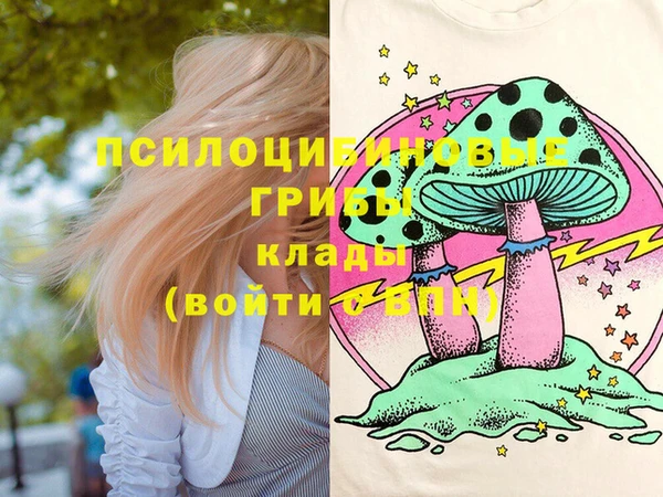 кокаин Белокуриха