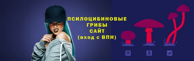 молекула духа Беломорск