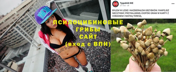 молекула духа Беломорск