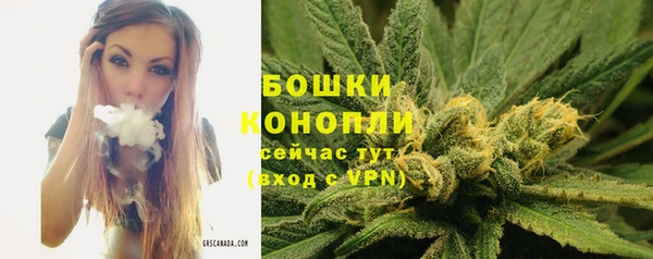 молекула духа Беломорск