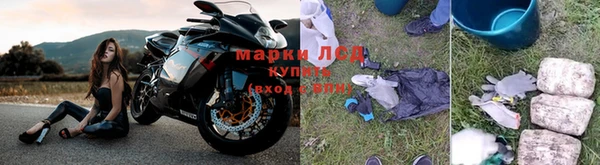 молекула духа Беломорск
